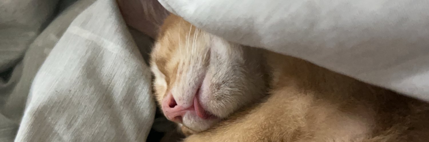 ᴜɴᴀ♡'s banner