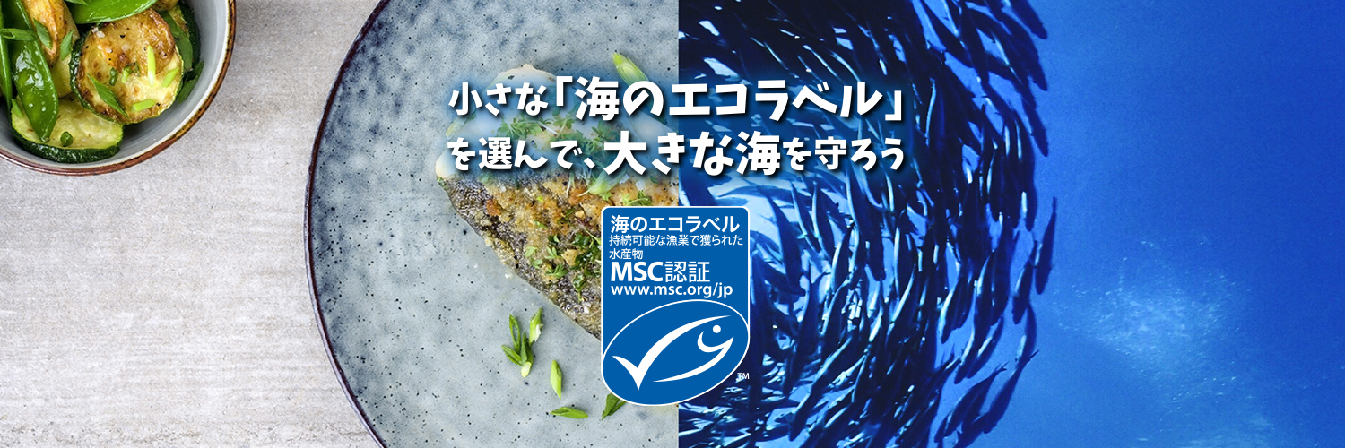 MSCジャパン's banner