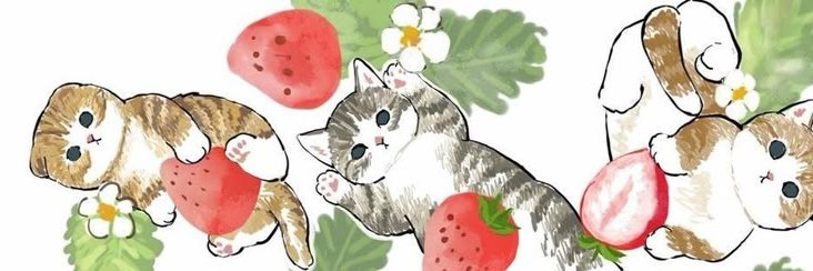 팬팬 ୨ৎ's banner