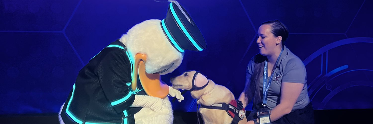 Noodle the Pup's banner