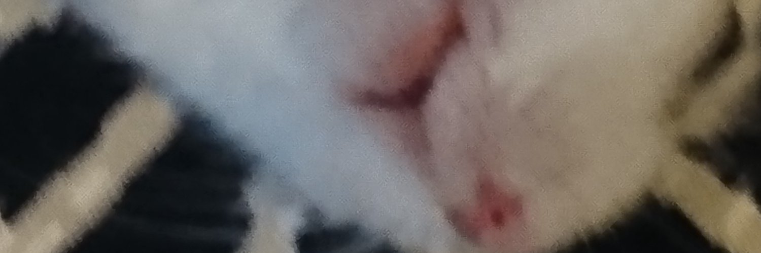おじたんマン's banner