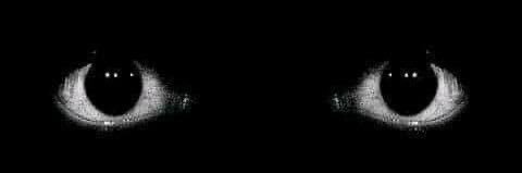 Thierry N. NGOGANG's banner