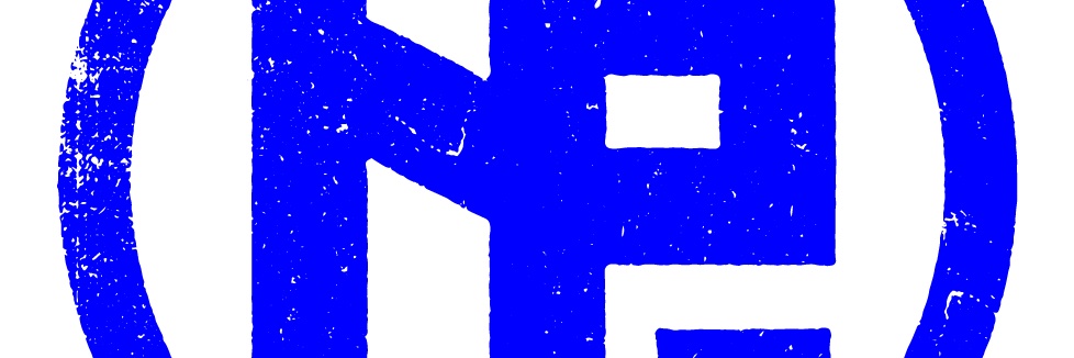NIÑA POLACA's banner