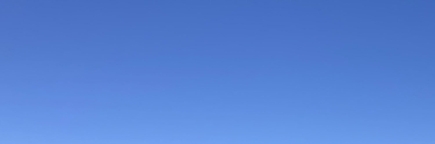 鳥29's banner