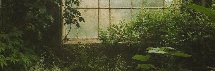 Bug!! 🪴🌿🌹 || c0mms closed's banner