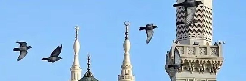 بدرية الحربي عقارات مدينة رسول الله ﷺ's banner