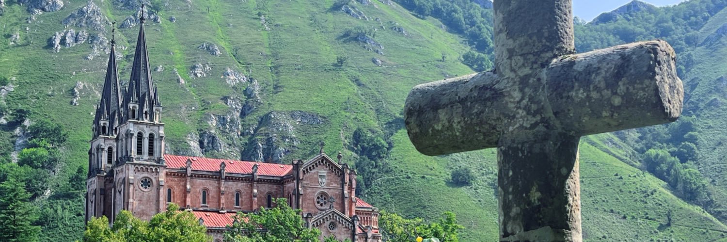 Tedi Koleva's banner