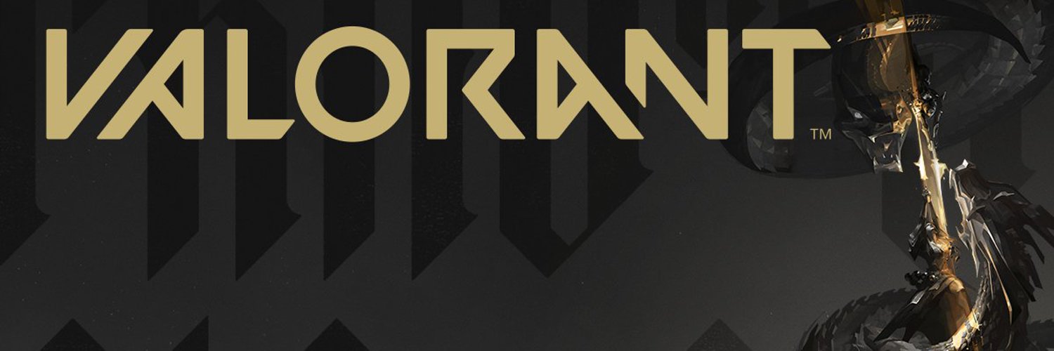 VALORANT's banner