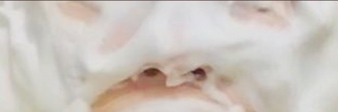 洗顔ものまね☁️ゆり's banner