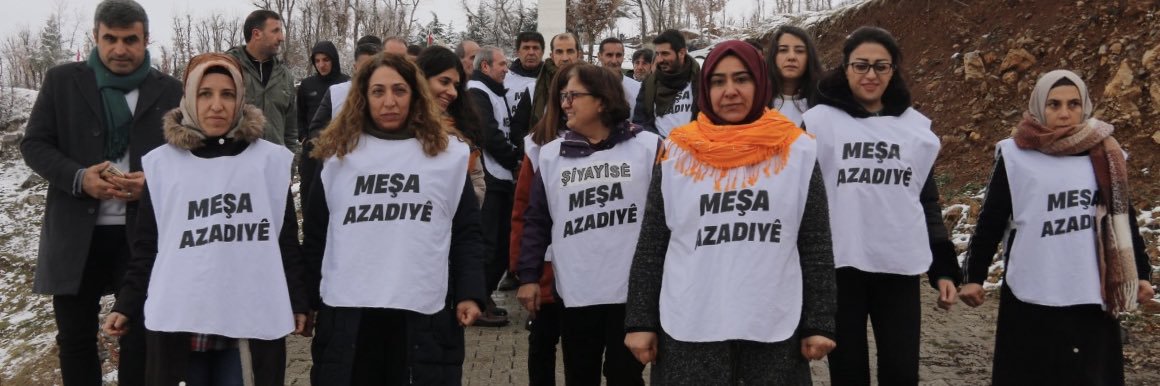 Gülderen VARLİ's banner