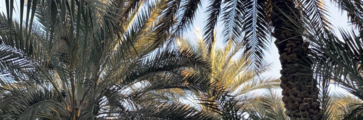 أحمد شريف العامري's banner