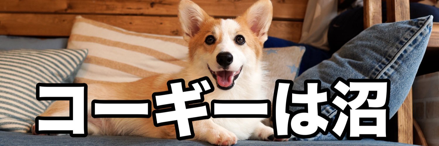 コーギーつむぎ🧂🍞's banner