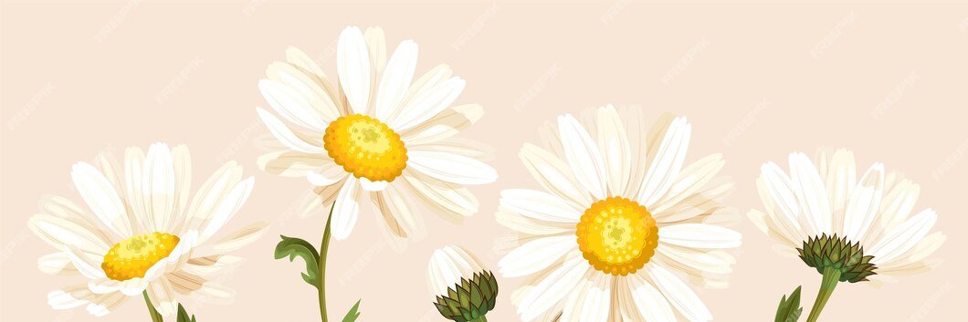 옐's banner