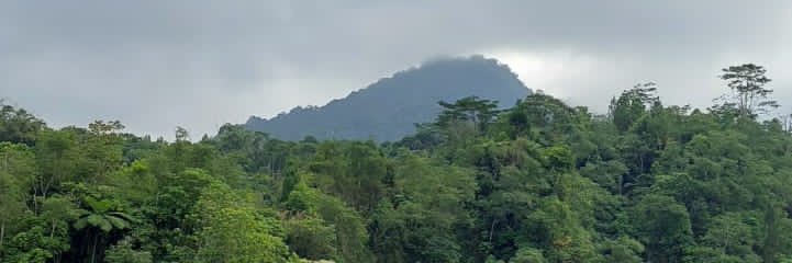 Den Ayoe Nyimas's banner