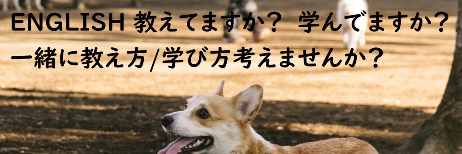 英語講師たいし(大志)'s banner
