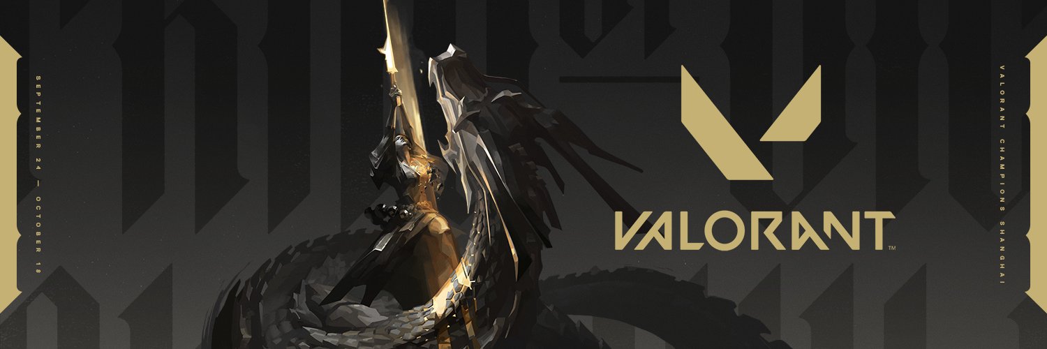 VALORANT Brasil's banner