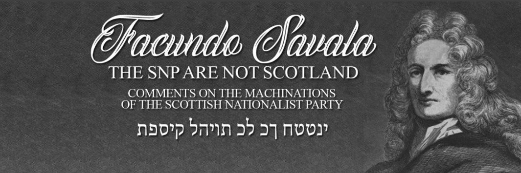 Facundo Savala's banner