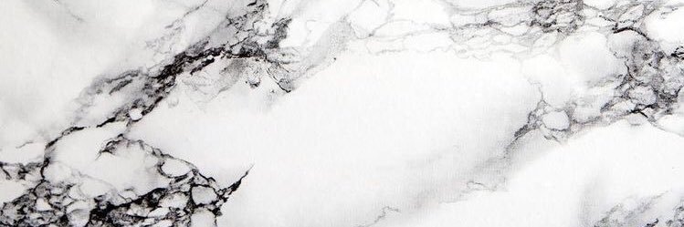 Michelle Landó's banner