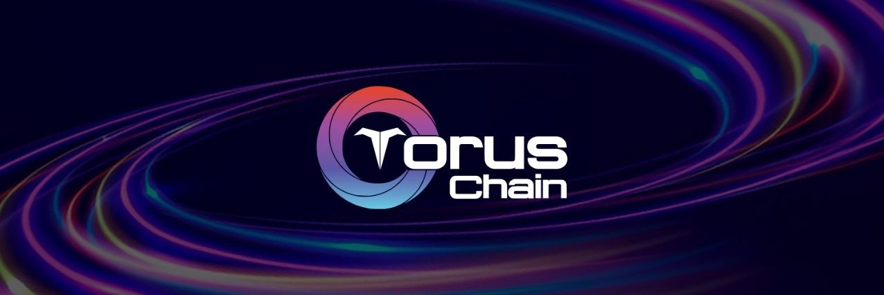 TorusChain's banner