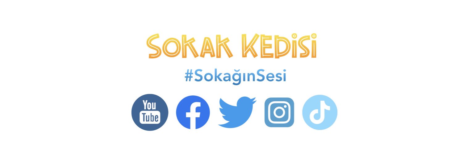 Sokak Kedisi's banner