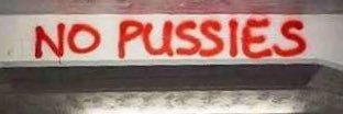 valen's banner