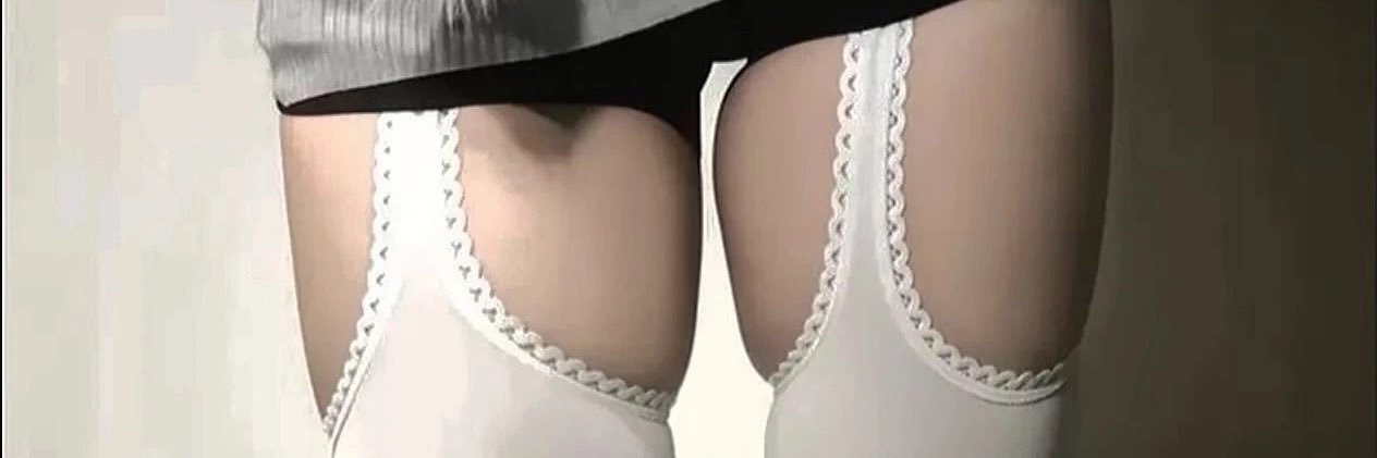 一只柯基's banner