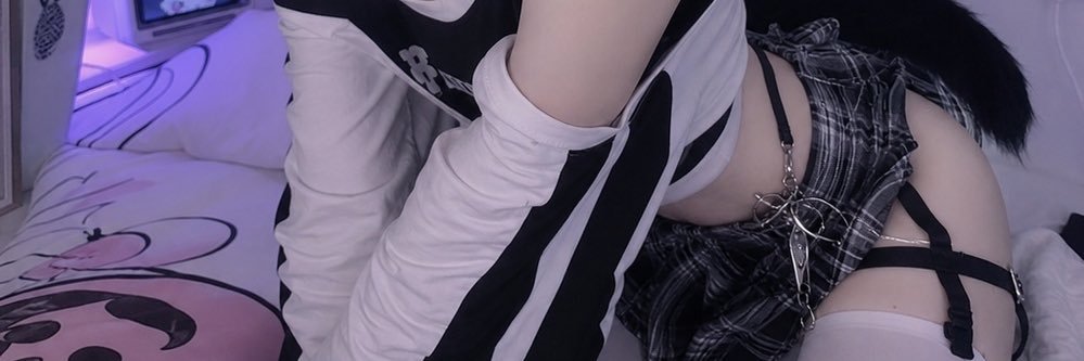 一只柯基's banner