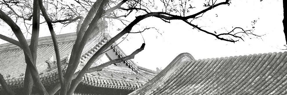 SYDTW's banner