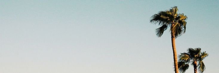 ريناد's banner