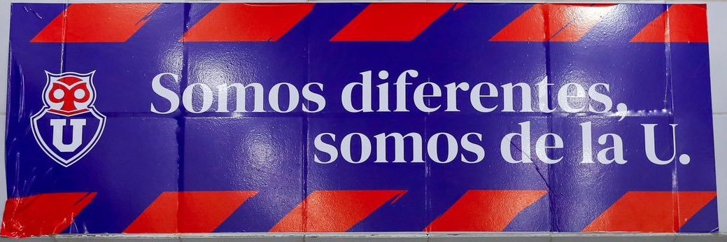 Stephanie Frasson 🇧🇷🇨🇱🦉's banner