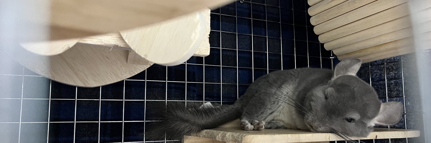 チンチラのすみれと飼い主ゆみ's banner