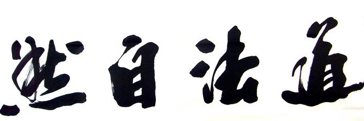 ☯️灵蛇之眼 ☯️'s banner