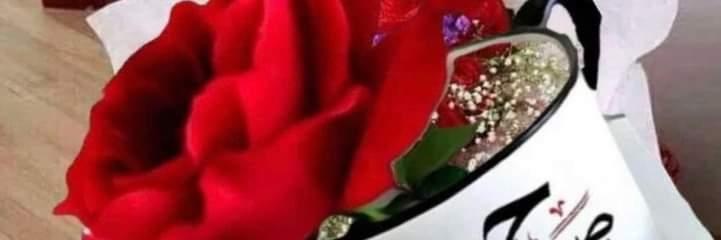 حلومة٢٣'s banner