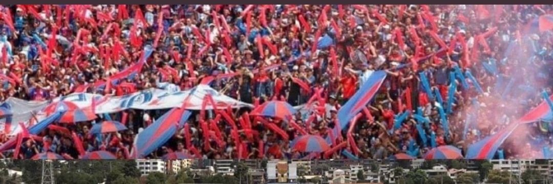 Tania Cris 🇪🇨's banner