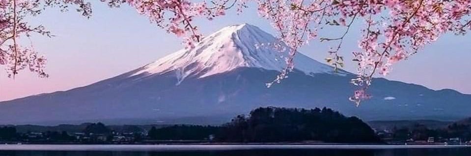 🇯🇵🗽自由の女神⛩️🇯🇵's banner