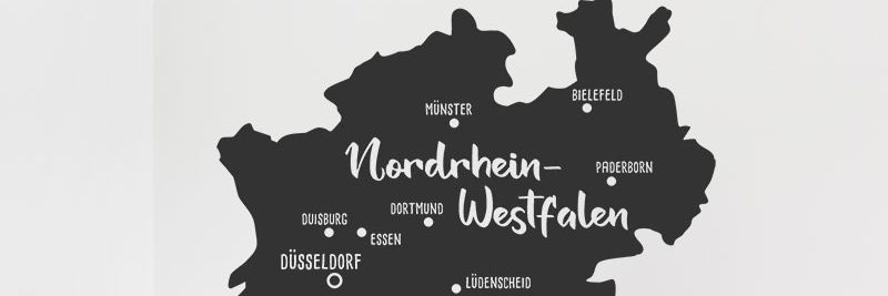 herr fliege (nrw)'s banner