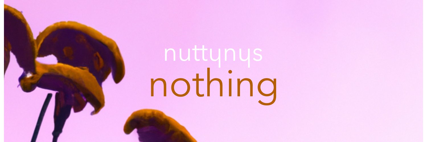 NUTTY NYS's banner