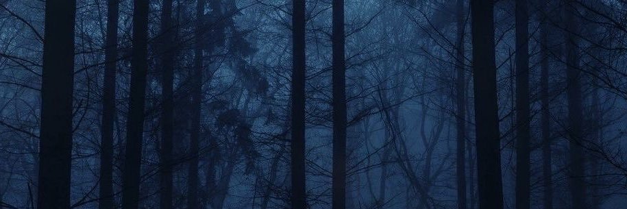 ★💿🌑⁷'s banner