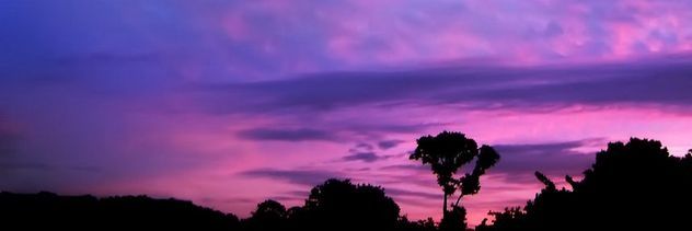 Kate 🌟's banner
