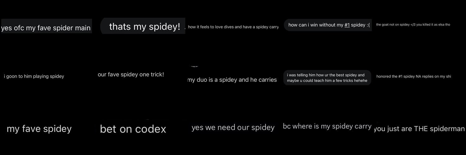 Codex's banner