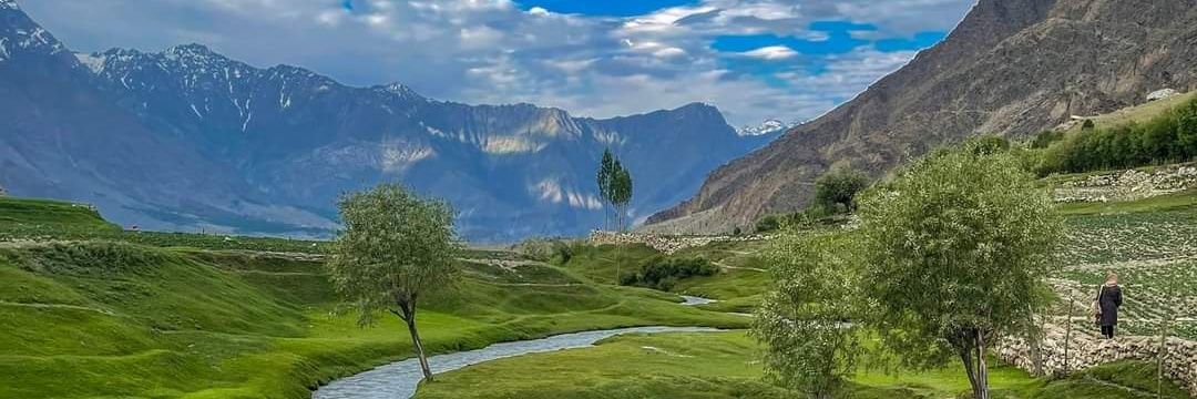 Pakistan 🇵🇰's banner