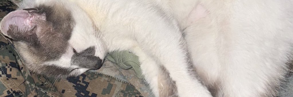 ProfPressure's banner