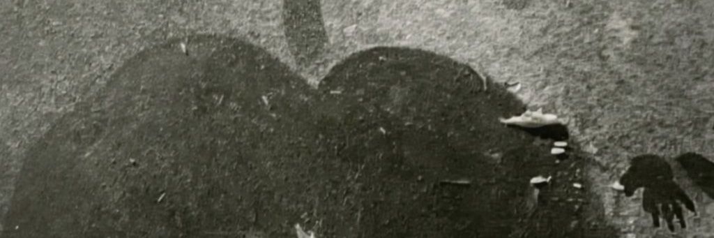 Mister Queen 🔞's banner