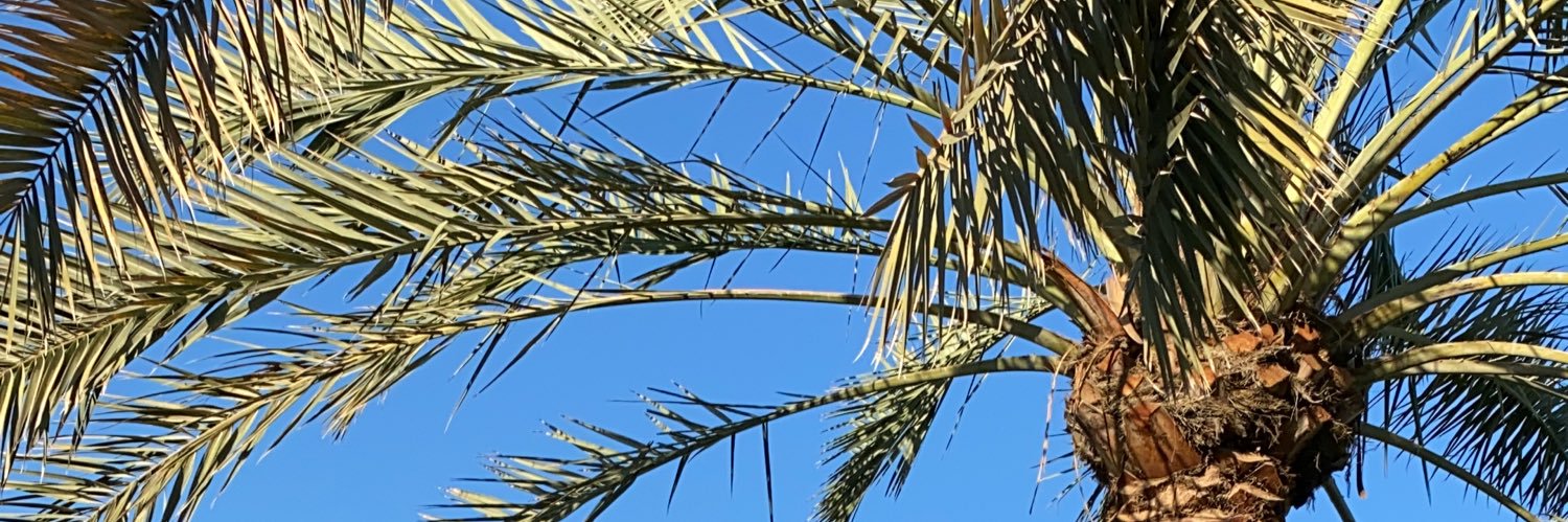 د. سـلـطـان الحـربـي's banner