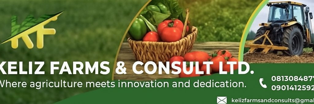 kelizfarmsandconsults's banner