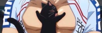 Rin's banner