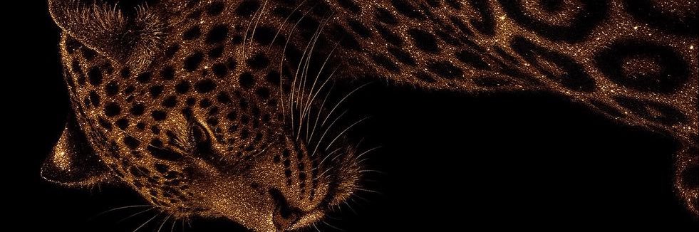 Pisciana 🫧🧜🏼‍♀️'s banner