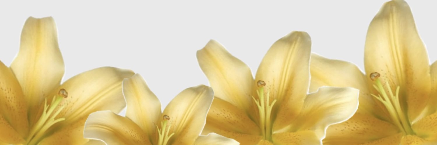 chidimma's banner