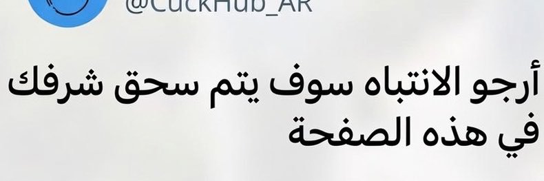 CuckHub_AR's banner