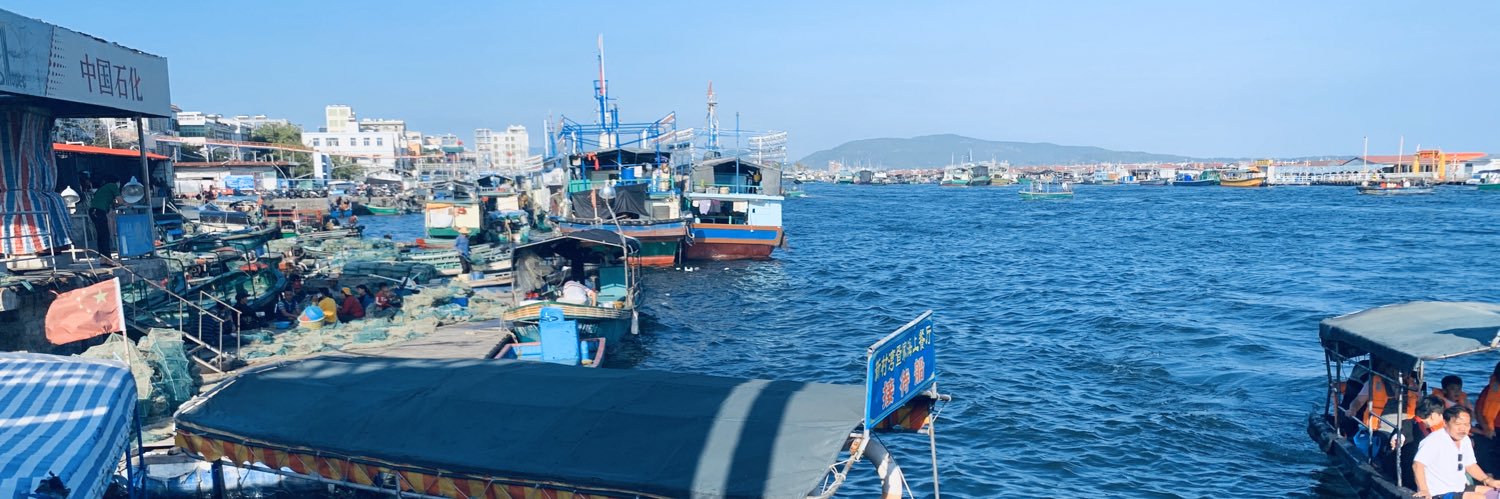 带把少女陈苏苏's banner